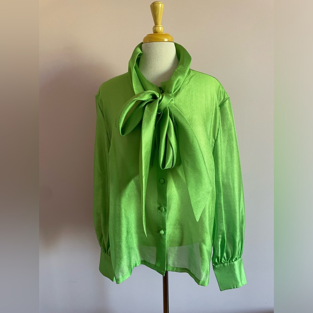 Elegant Shimmering Green Women's Blouse